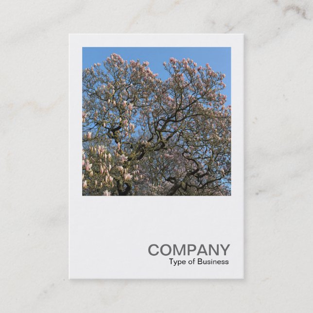 Carte De Visite Carré Photo 0390 - Les arbres de Magnolia en fleur (Devant)