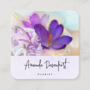 Carte De Visite Carré Photo d'un joli Crocus de printemps violet