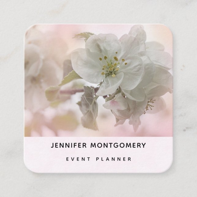 Carte De Visite Carré Photo en fleurs de pomme blanche (Devant)