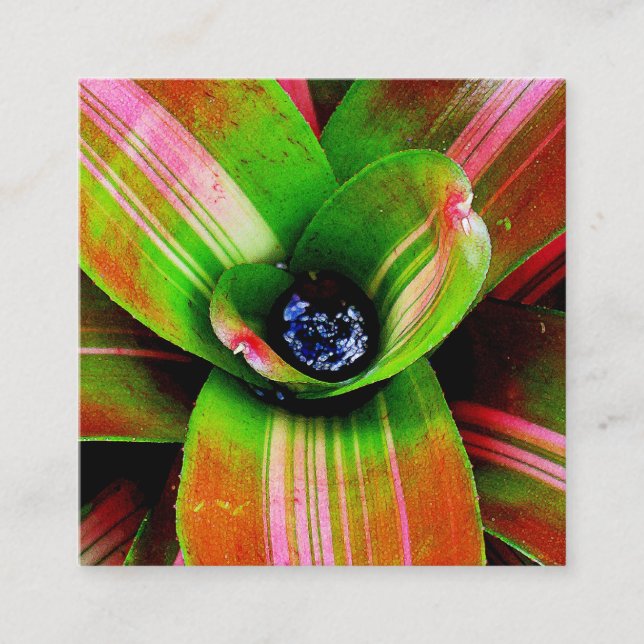 Carte De Visite Carré Photographie macro du coeur de Bromeliad (Devant)
