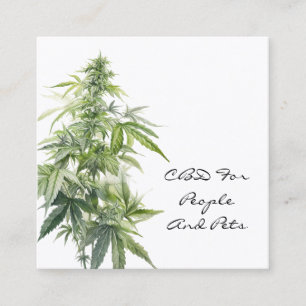 Carte De Visite Carré PLANTE d'aquarelle CBD