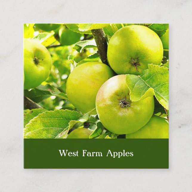 Carte De Visite Carré Pomme Orchard Cider Presse Arbre Fruit Grotte (Devant)