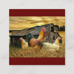 Carte De Visite Carré Poules à coq vintage Grotte à coop rustique