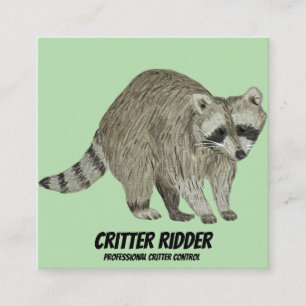 Carte De Visite Carré Raccoon