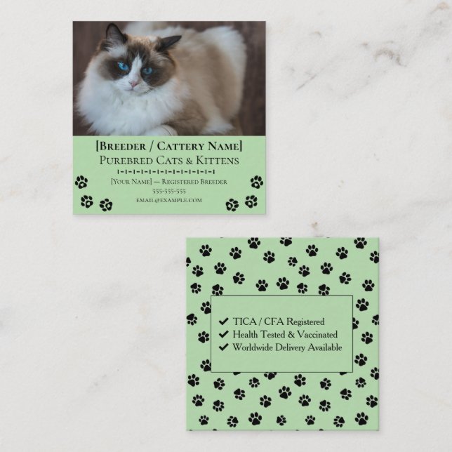 Carte De Visite Carré Ragdoll Cattery Customizable Cat Breeder  (Devant / Derrière)