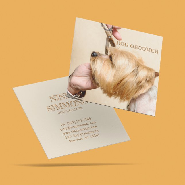 Carte De Visite Carré Service de soins pour animaux de compagnie (Créateur téléchargé)