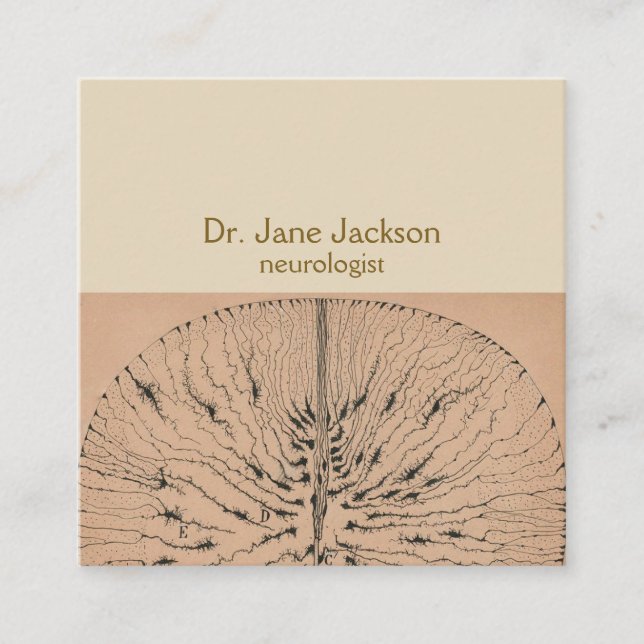 Carte De Visite Carré Spinal Cord Glial Cells Drawing (Devant)