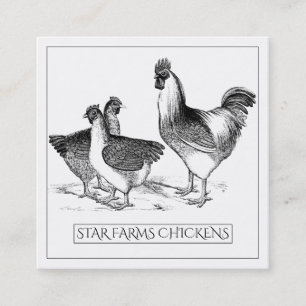 Carte De Visite Carré Terte ferme de volaille de poulet rustique