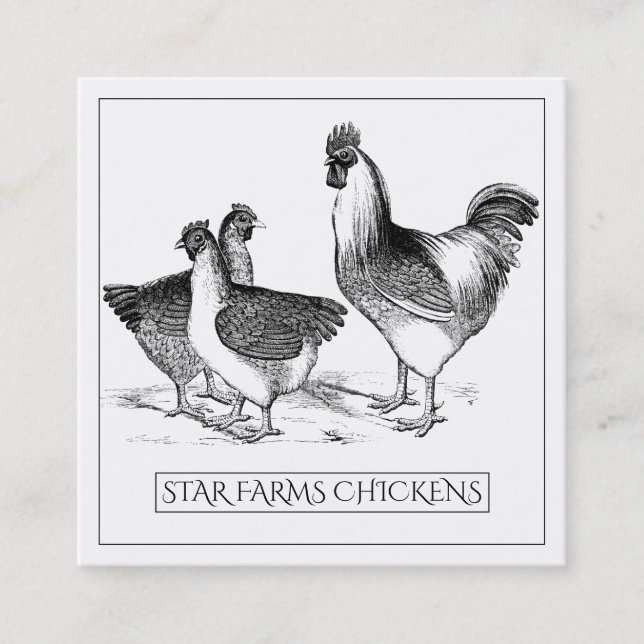 Carte De Visite Carré Terte ferme de volaille de poulet rustique (Devant)