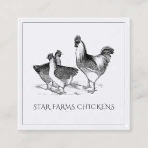 Carte De Visite Carré Terte ferme de volaille de poulet rustique