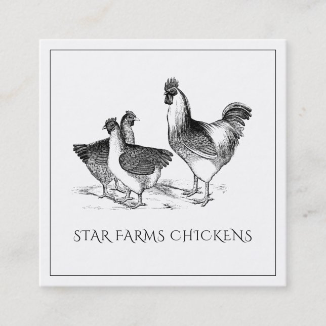 Carte De Visite Carré Terte ferme de volaille de poulet rustique (Devant)