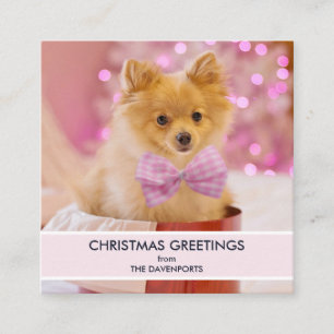 Carte De Visite Carré Un chien mignon avec un cou rose Noël Photo