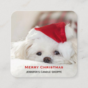 Carte De Visite Carré Un mignon chien blanc dans un Casquette de Noël ro