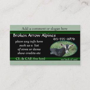 Carte De Visite Carte-personnaliser d'affaires de Chester il