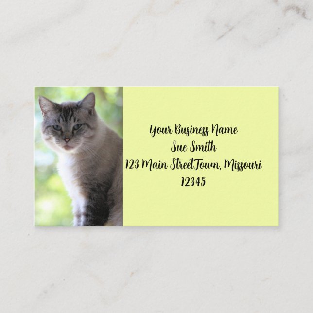 Carte De Visite Cat (Devant)