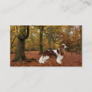 Carte de visite cavalier de Breede d'épagneul du