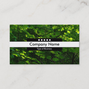 Carte De Visite Centre Band 5 Spots - Feuilles du printemps