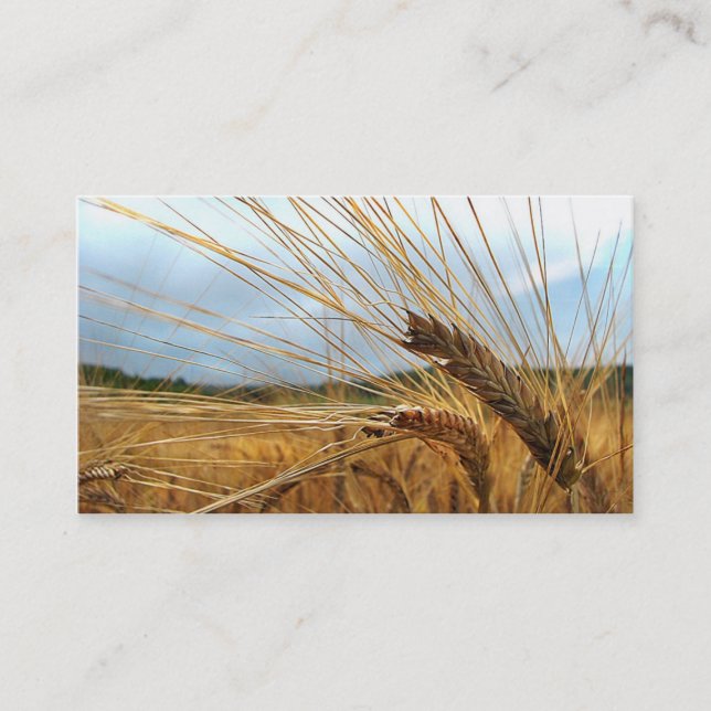 Carte De Visite Centre commercial de grain (Devant)