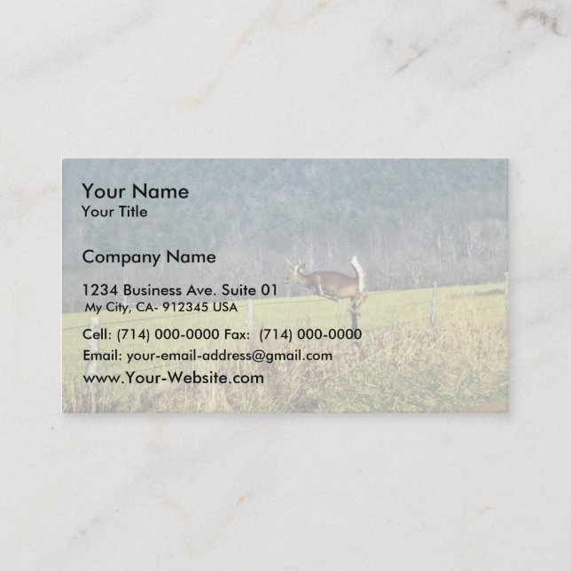 Carte De Visite Cerf à queue blanche (Devant)