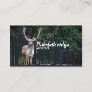 Carte De Visite cerf en jachère cerf animal sauvage