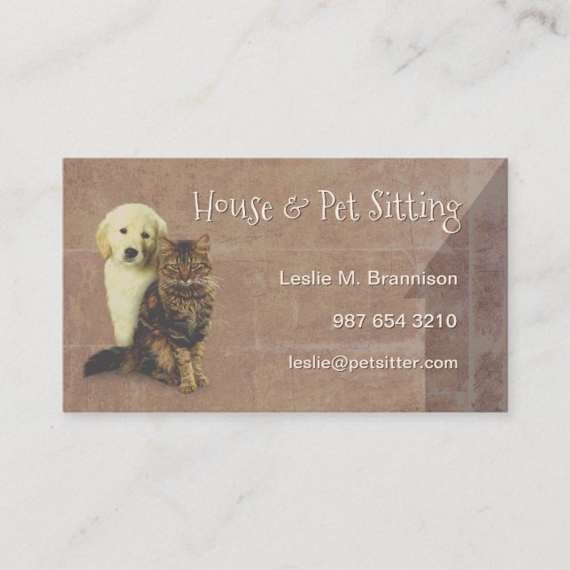 Carte De Visite Chambre et chien et chat se reposants d'animal (Devant)