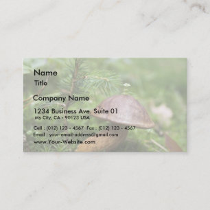 Carte De Visite Champignon sur la mousse