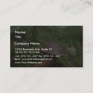 Carte De Visite Champignon sur la mousse
