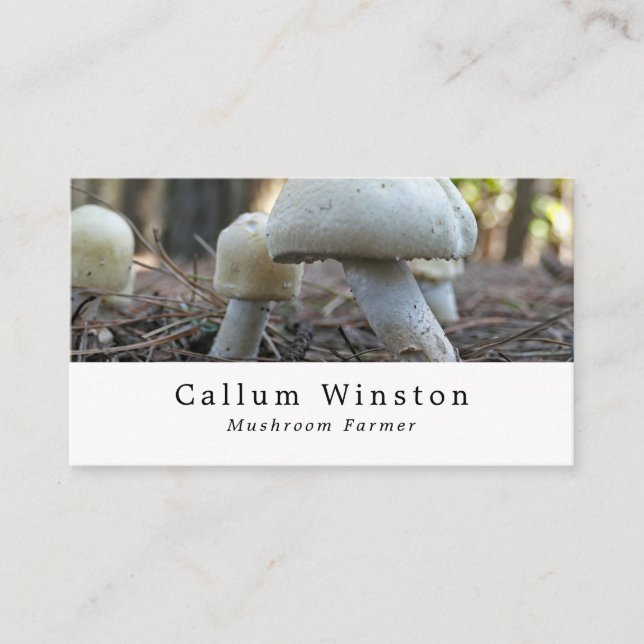 Carte De Visite Champignons sauvages, Producteur De Champignons (Devant)