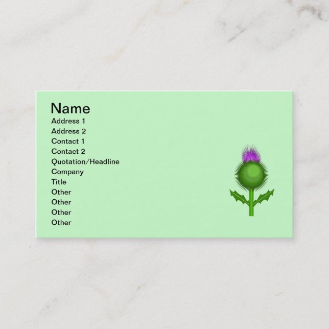 Carte De Visite chardon_Vector_Clipart (Devant)