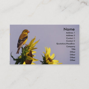 Carte De Visite Chardonneret américain sur le tournesol