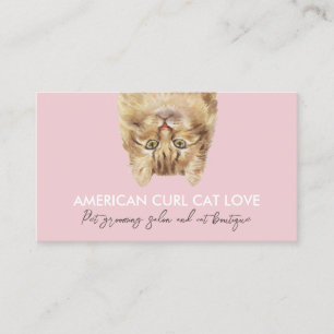 Carte De Visite Chat américain à boucles drôle de couleur rose