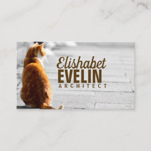 Carte De Visite Chat Assis Dans La Rue