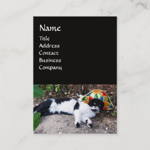 CARTE DE VISITE CHAT AVEC CASQUETTE HARLEQUIN ET MASQUERADE DE FÊT