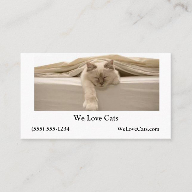 Carte De Visite Chat Beige Couché Sur Lit Beige (Devant)