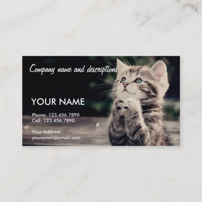 Carte De Visite Chat de prière très mignon (Devant)