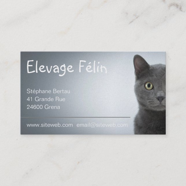 Carte de visite chat, élevage félin (Devant)