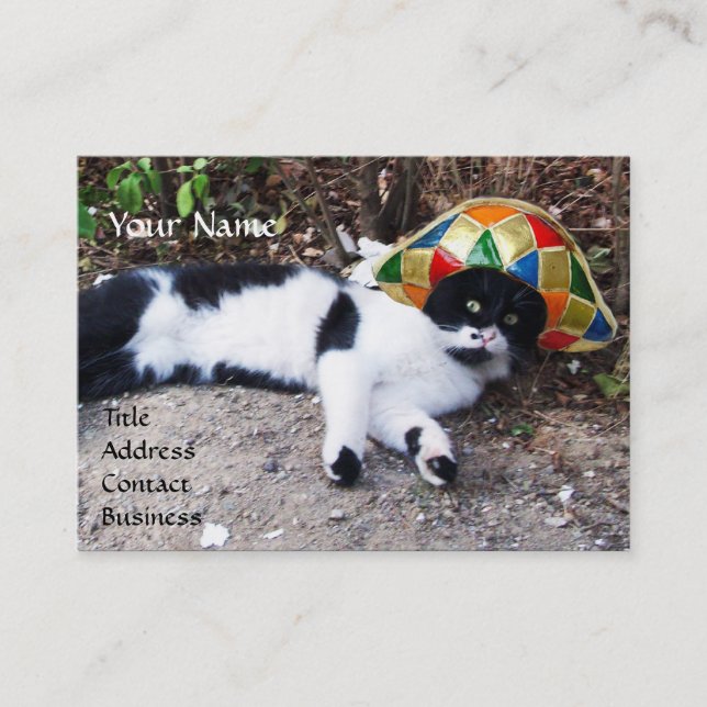 CARTE DE VISITE CHAT, HARLEQUIN LOCOMOTIVE CASQUETTE ET VAPEUR VIN (Devant)