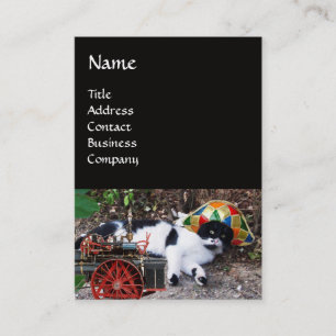 CARTE DE VISITE CHAT, HARLEQUIN LOCOMOTIVE CASQUETTE ET VAPEUR VIN