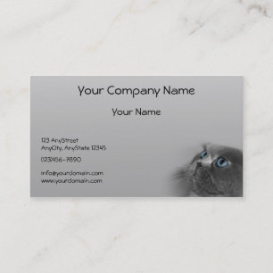 Carte De Visite Chat persan gris avec des yeux bleus sur l'arrière