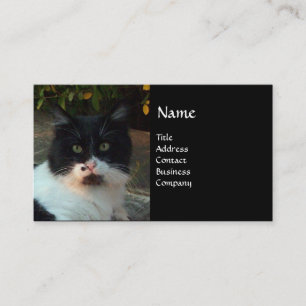 CARTE DE VISITE CHAT PIERO TURQUE NOIR ET BLANC