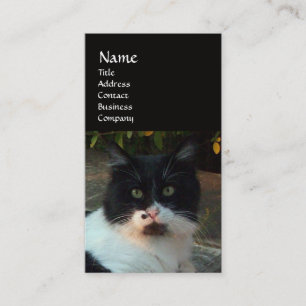 CARTE DE VISITE CHAT PIERO TURQUE NOIR ET BLANC