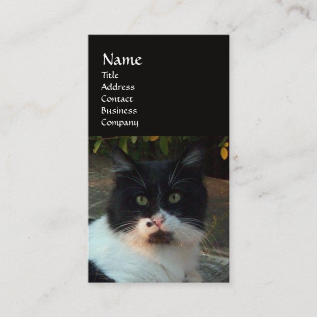 CARTE DE VISITE CHAT PIERO TURQUE NOIR ET BLANC (Devant)