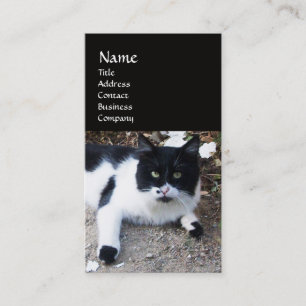 CARTE DE VISITE CHAT PIERO TURQUE NOIR ET BLANC