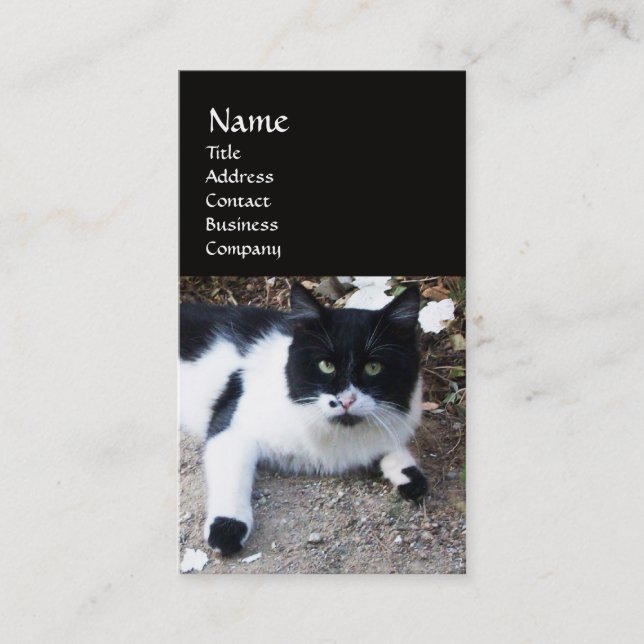 CARTE DE VISITE CHAT PIERO TURQUE NOIR ET BLANC (Devant)