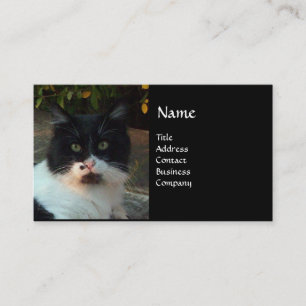 CARTE DE VISITE CHAT PIERO TURQUE NOIR ET BLANC