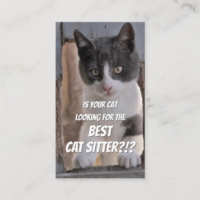 Carte De Visite Chat sitters drôle de chat soin animal de compagni (Devant)