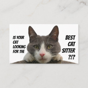 Carte De Visite Chat sitters drôle de chat soin animal de compagni