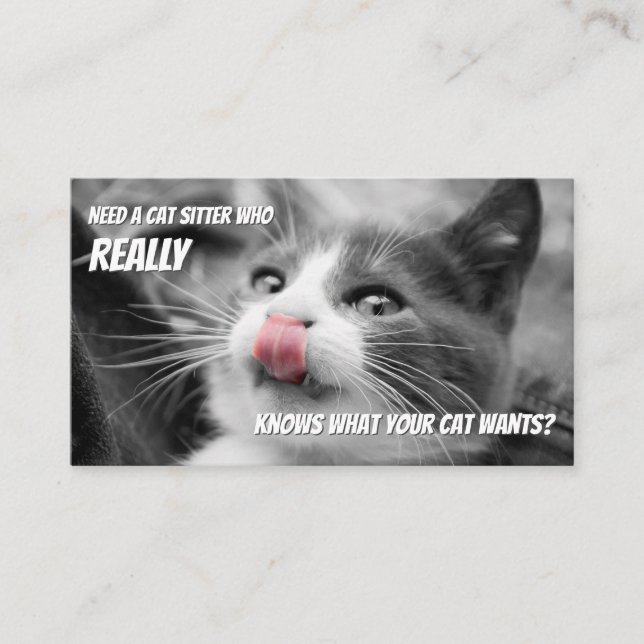 Carte De Visite Chat sitters drôle soin chat service de soins pour (Devant)