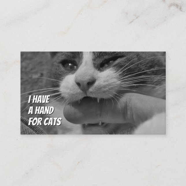 Carte De Visite Chat sitters drôle soin chat service de soins pour (Devant)