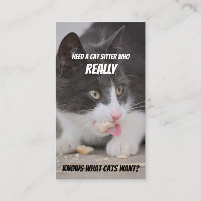 Carte De Visite Chat sitters drôle soin chat service de soins pour (Devant)
